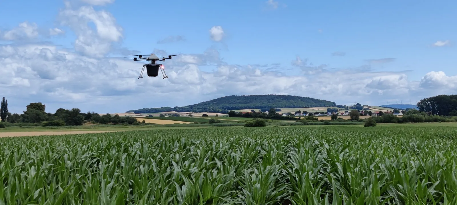 Multikopter im Flug über einem Maisfeld vor weiter Hügellandschaft